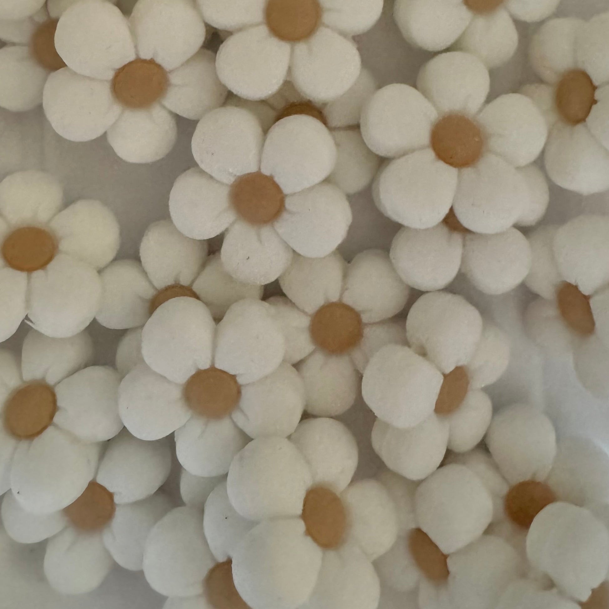 White flowers with brown centers on a white background